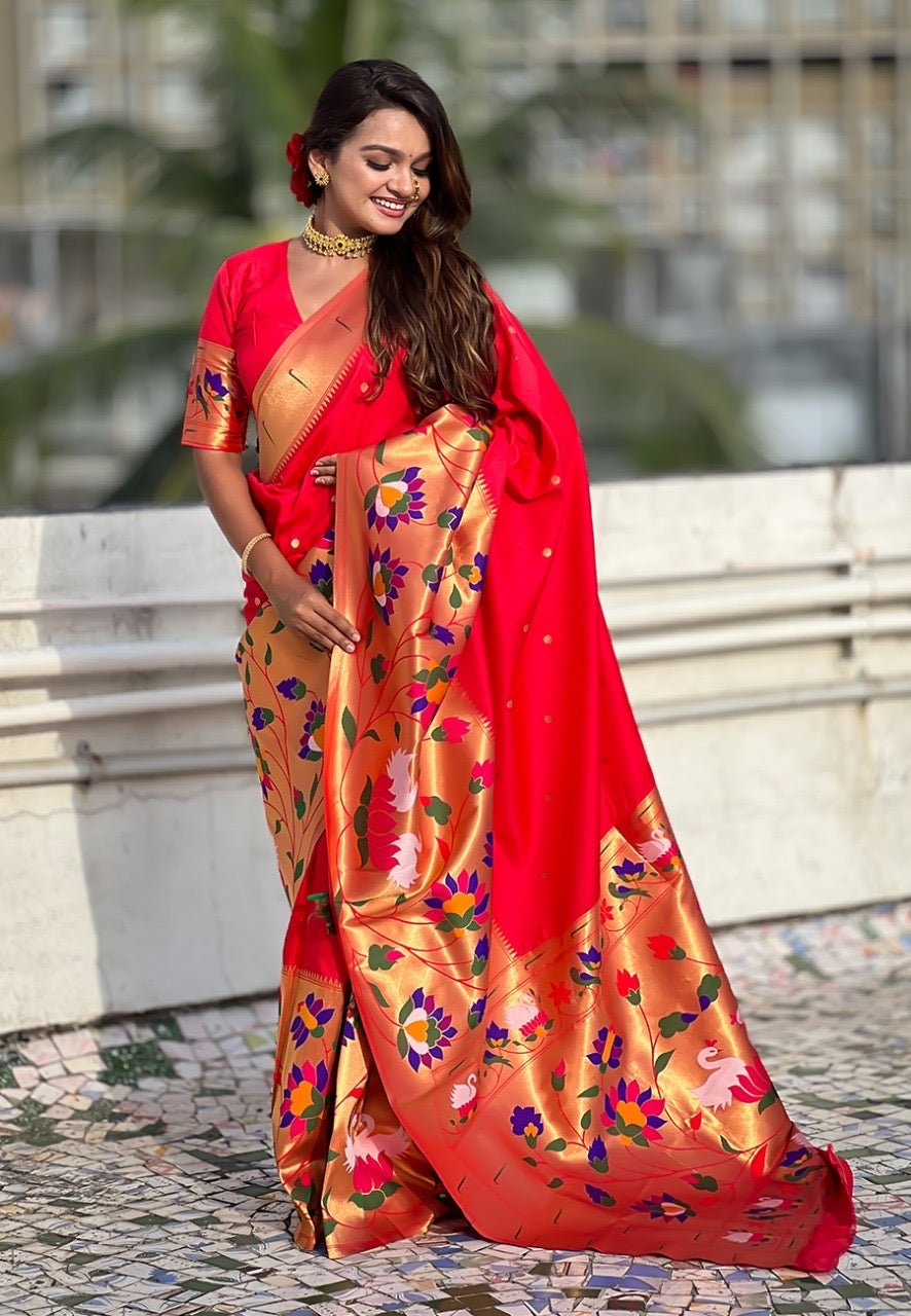 Half All Over Brocade Border Paithani