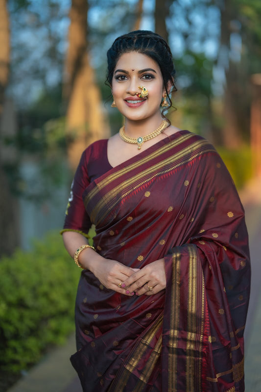 Narayanpeth Silk Saree