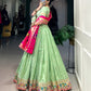 Paithani Lehenga VOL 4