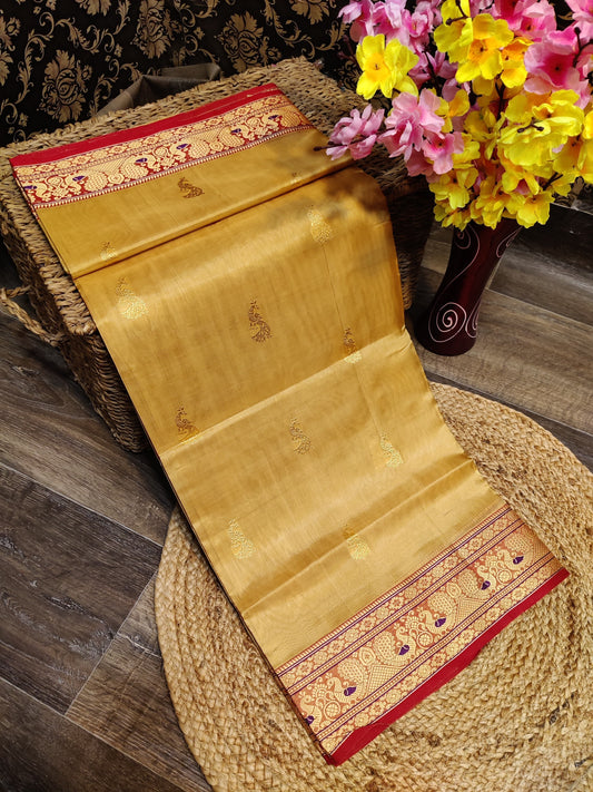 PSDP22 - Pure Silk Dagina Paithani
